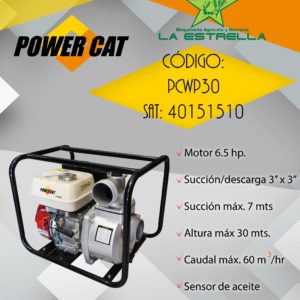 Motobomba Power Cat PCWP30